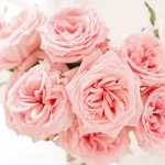 Pink O’Hara / Пінк О’Хара
